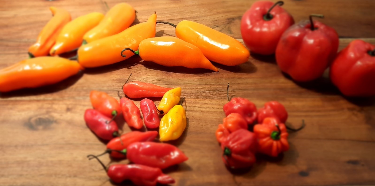 Ajíes et piments péruviens