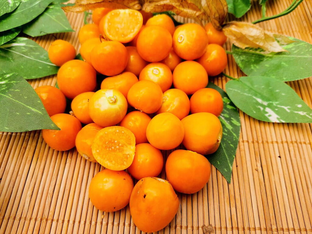 Aguaymanto, physalis du Pérou