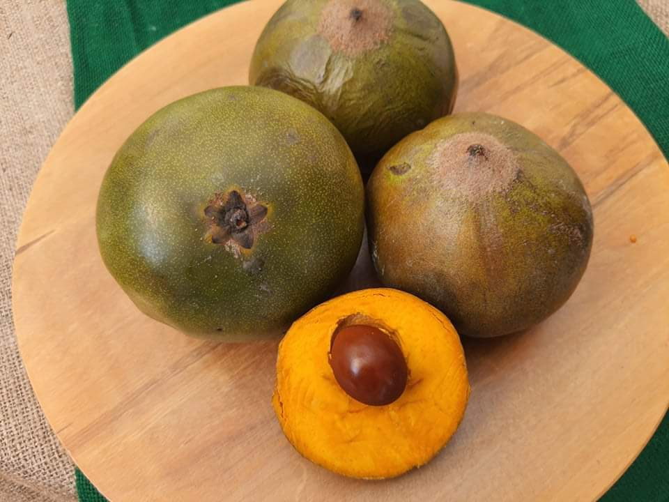 Lucuma, fruit andin