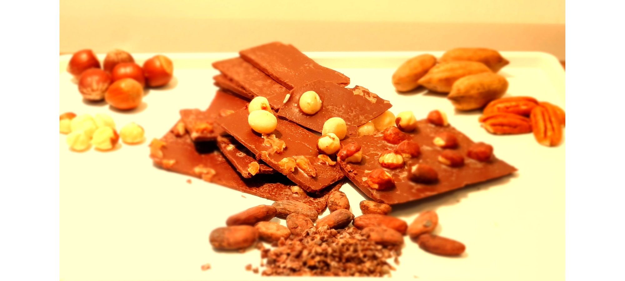 Chocolat aux noisettes et fruits secs